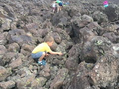 JB Throwing Rocks